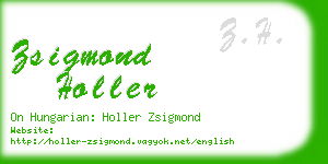 zsigmond holler business card